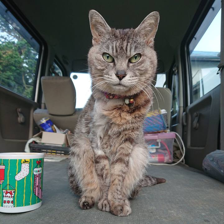 8919fa6b fd67 48aa bff3 a5d355aa6caa 1591387253337