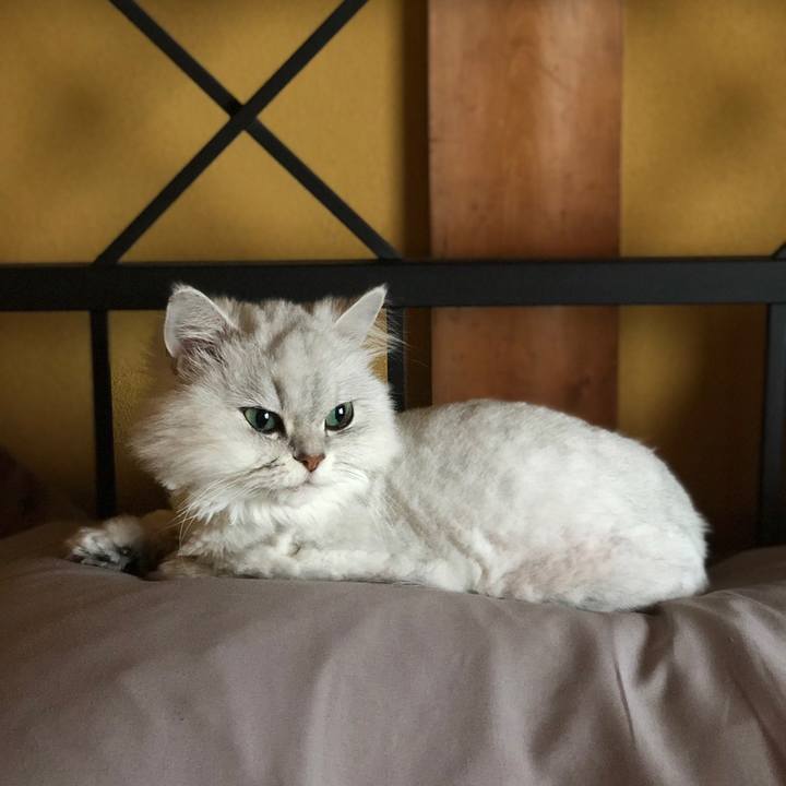 891a0bbd 54e7 48ca aa6d 1a1e179359d8 1558654318640