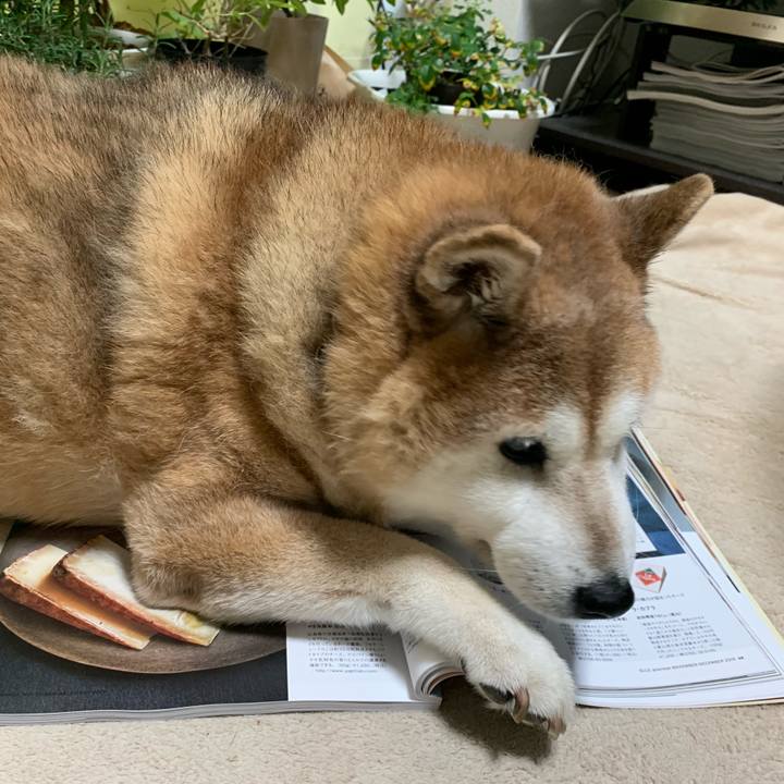 891a6d51 a540 4194 9989 327b6d373cf5 1570856675392