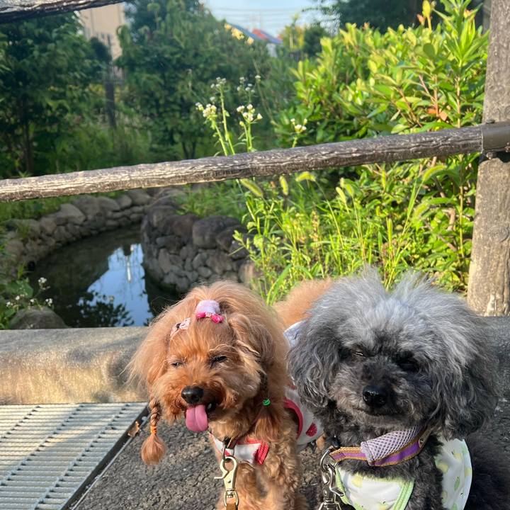 891a8cfd de17 4693 aa66 653d2371918b 1689118301567