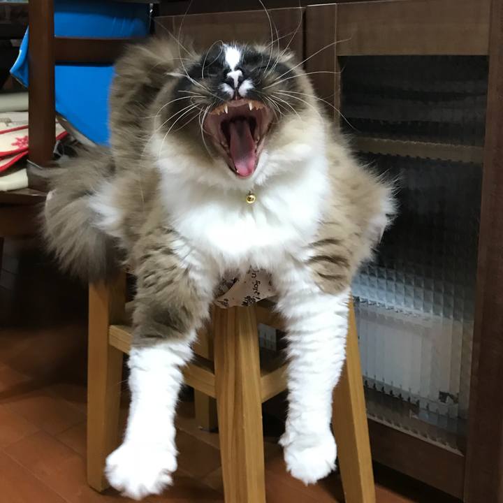 891a933d 50e4 4dbe aa69 663f410fab0b 1519221026832