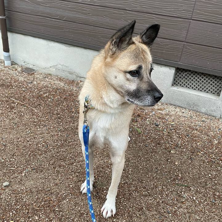 891aa7cd e389 48d5 ba25 51023a9fd11b 1669115643738