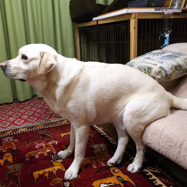 891aeadb b802 4be7 b85e b8b762cb22b6 1556279996854