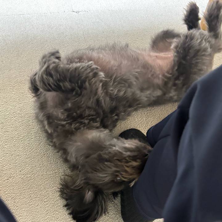 891afced 96ac 4a76 9b99 ffb99b4a15b8 1768991832356