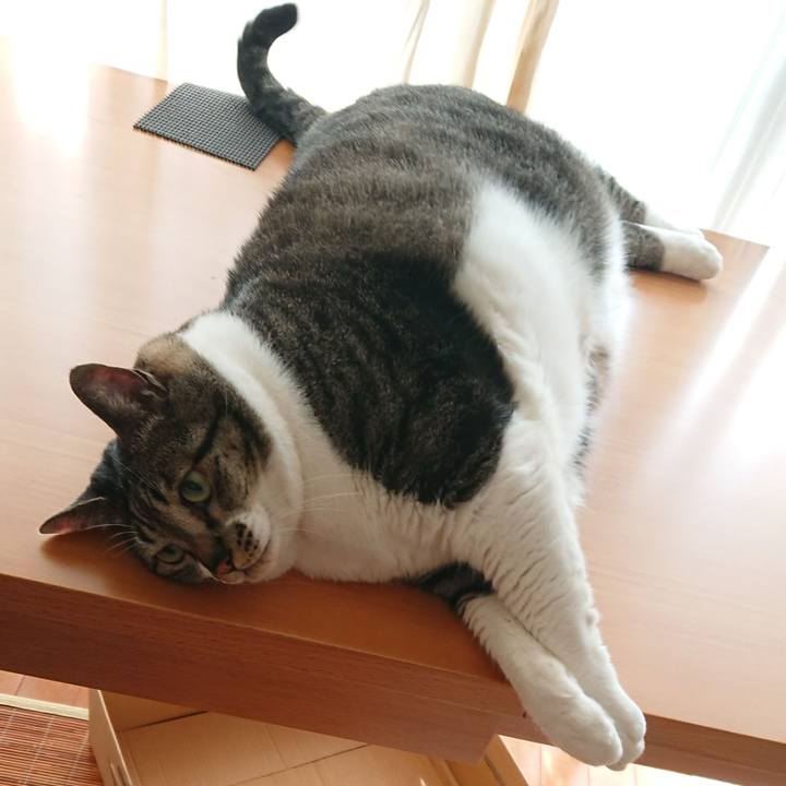 891b20f2 f191 4a33 b48c 5d784d2aecab 1531738467954