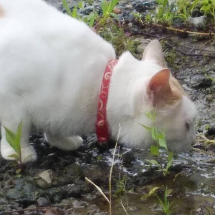 891b437c e4fd 49fa 8ff2 94c7678e3944 1593129675270