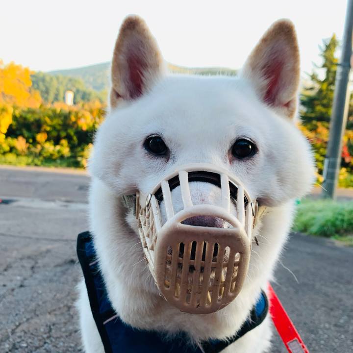 891b5091 d3ba 4ac3 b455 0768a777cf4e 1632864516578