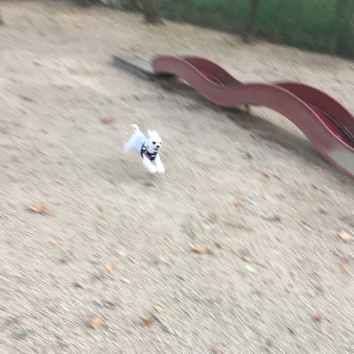 891b6488 30cb 41c3 9d37 d405a064449a 1509101107214