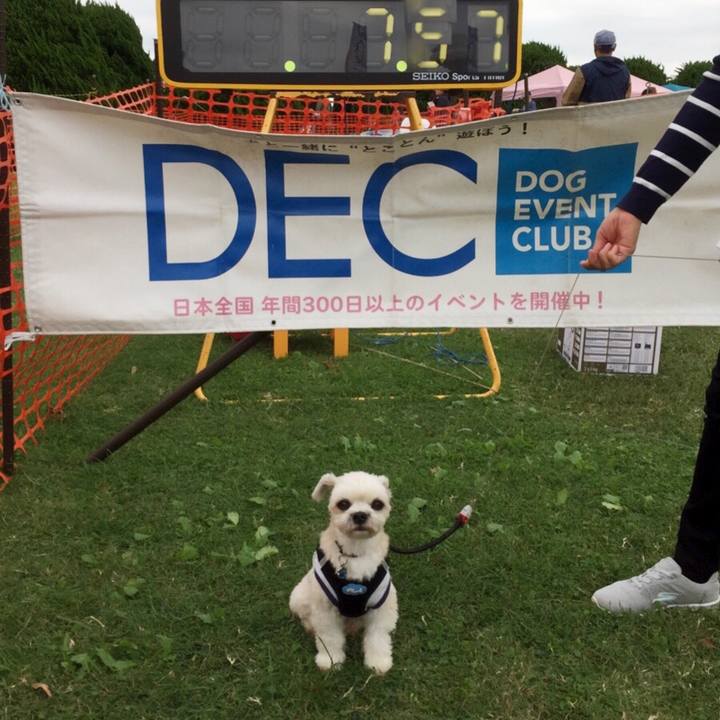 891b7041 8aba 4eac b222 e39948ed6497 1539556575430