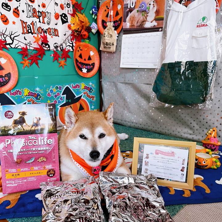 891b8074 3719 4c33 a14c 56c8199a0801 1696658684027