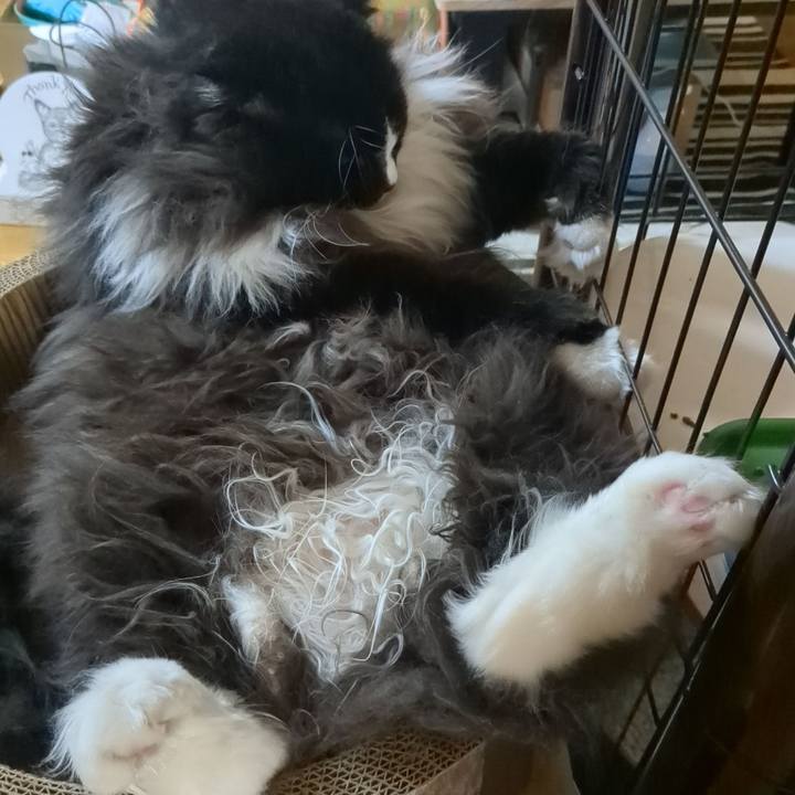 891b8e21 88b4 40c3 bfcf 0c77020525c2 1763254885753