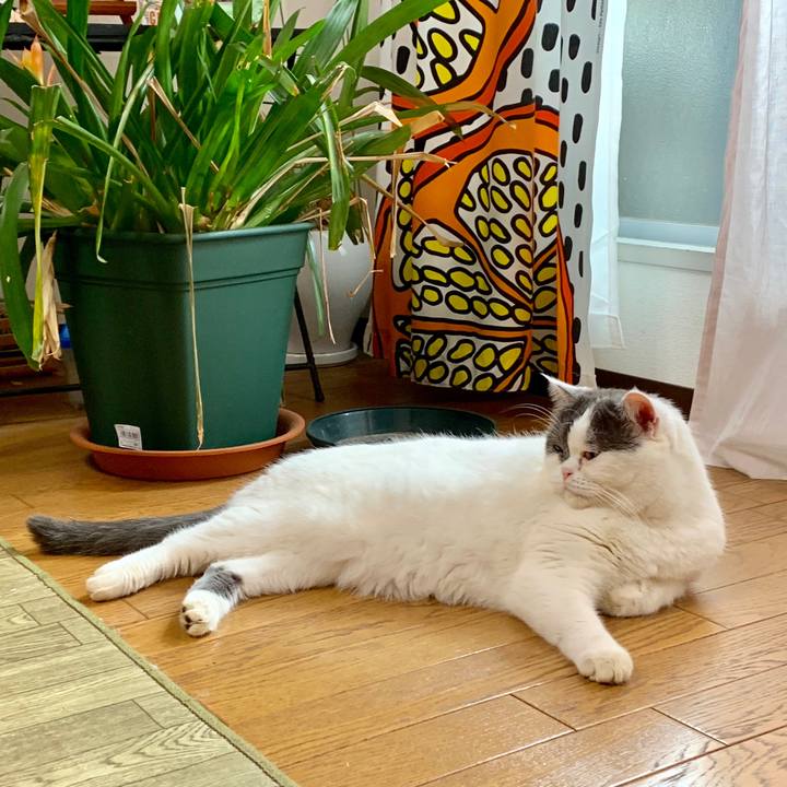 891bae29 9f4b 428c 90e5 88e9cbf9b84f 1540463810917