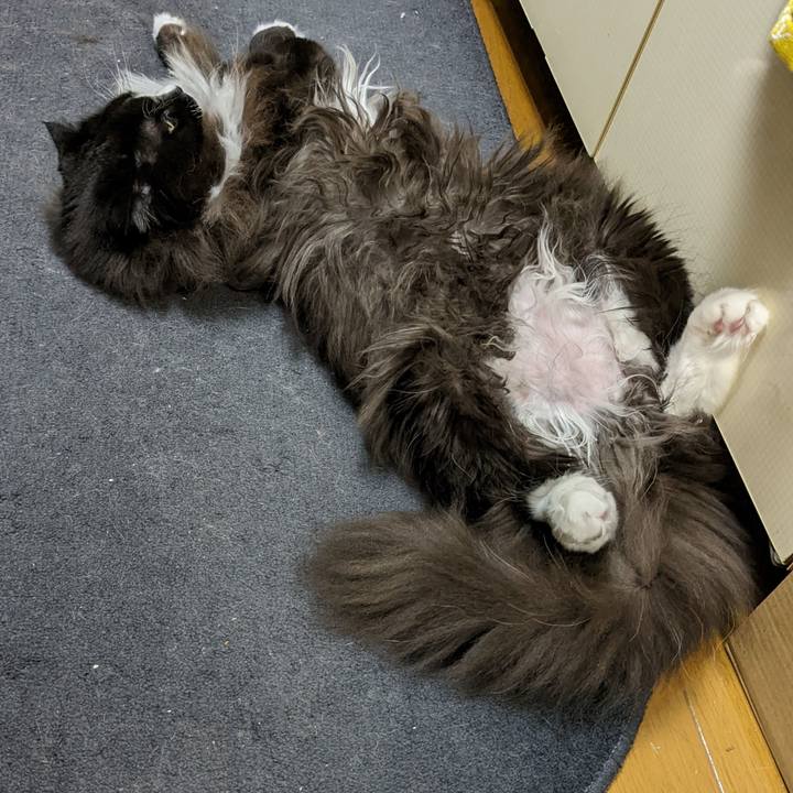 891bc48a 0671 455c 8f6c 6e58fa50dd1e 1669553951150