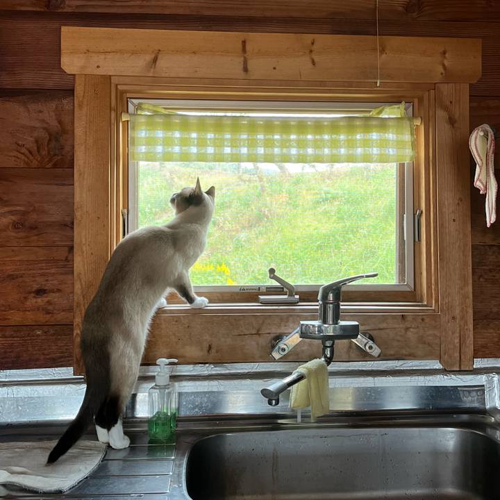 891bcab0 c977 4a16 9582 0042996c6749 1729551031839