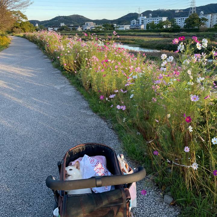 891bcc13 6f7d 4e23 bf36 52d9787f0ef4 1666180725451