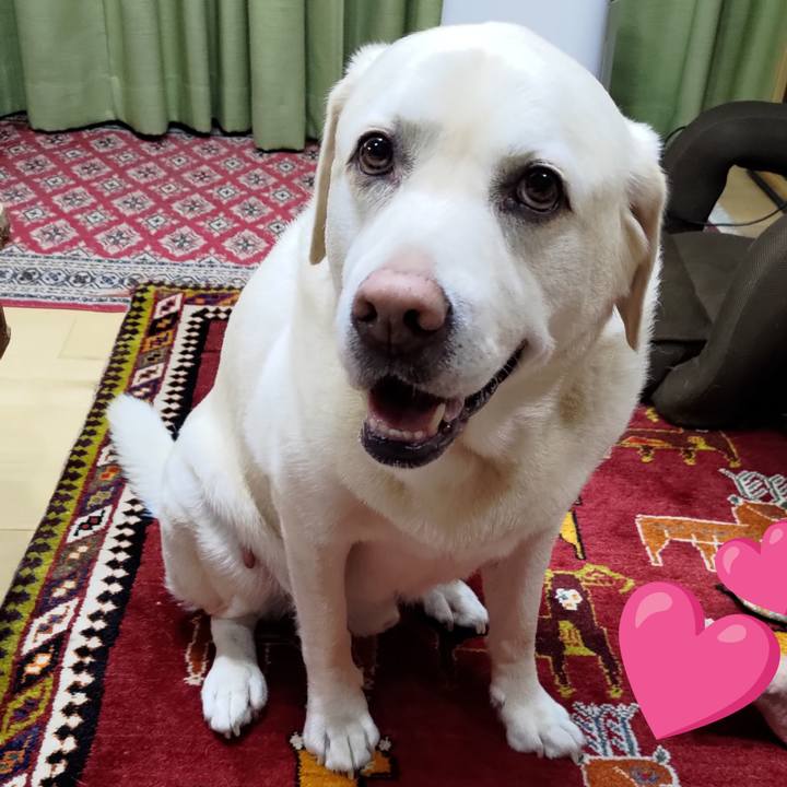 891bdbf6 140f 481b a6c3 0f15e240162f 1721540229949