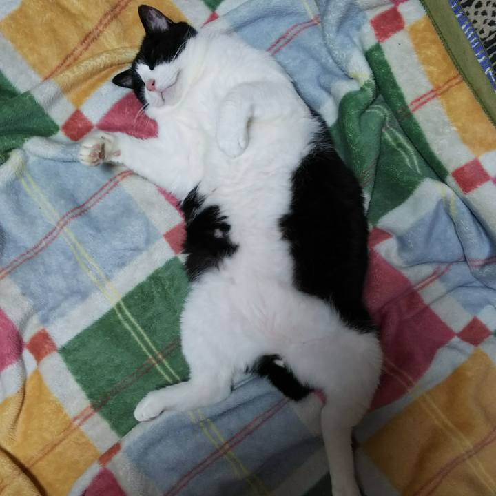 891be445 458b 40ca bca6 c3f0515aa4de 1529418005917