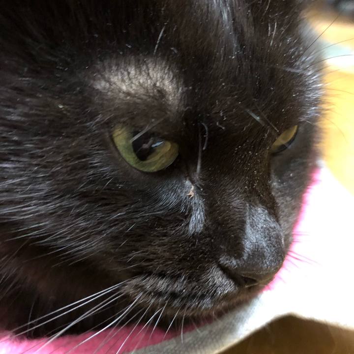 891be894 673c 48e1 8847 e465a30435c0 1569202500781