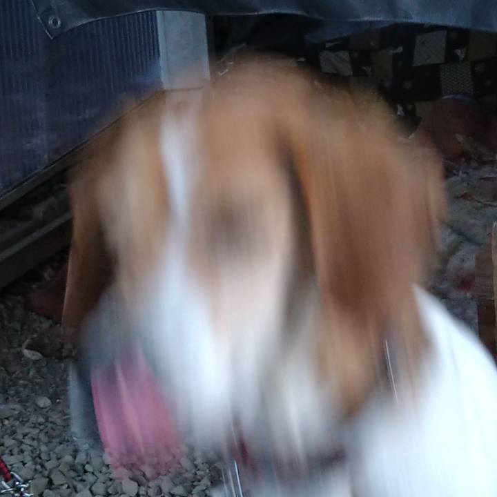 891bed38 399c 41ff ab24 869032d30657 1661519385335