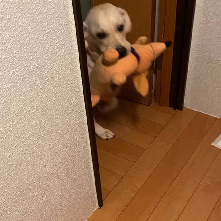 891c32d6 3bcf 45e1 85a7 f52c61302b53 1640729380031