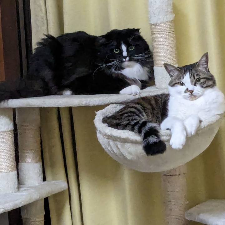 891c59c5 fca7 4183 96c4 ede7e277e683 1711451831177