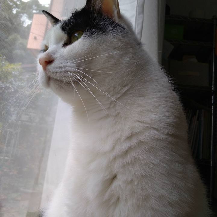 891c6a4b fb09 456e a92d 20ce426f17df 1553142832039