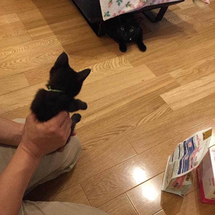 891c8421 ea97 4fff 8a4f 412581e01f67 1560002999237