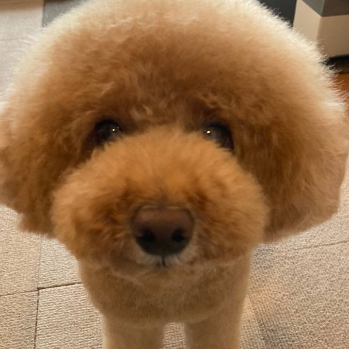 891c8ba3 342e 4e58 ade6 4e09f0abfc60 1622043188438