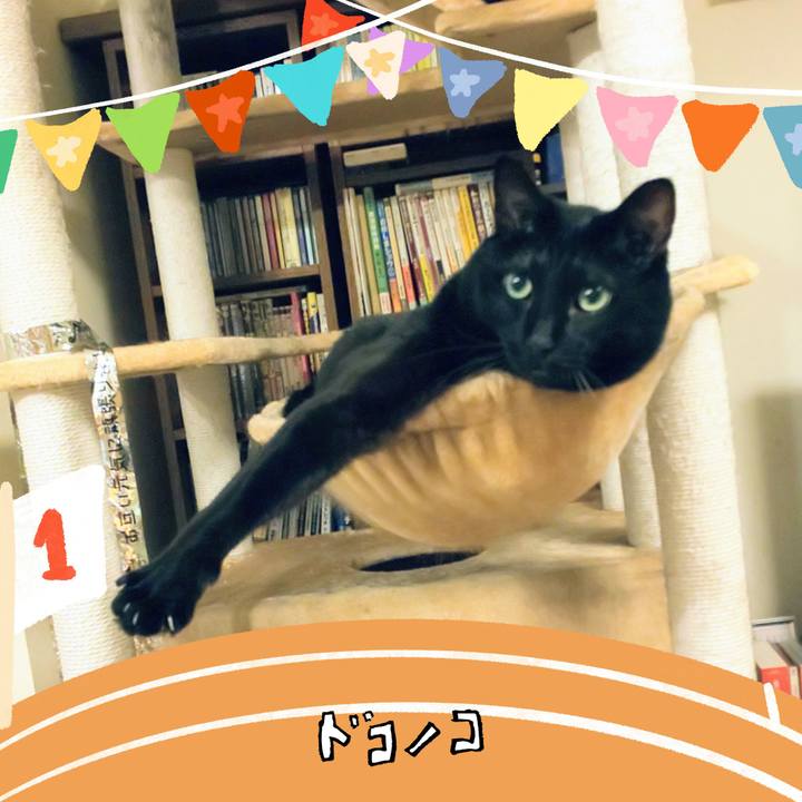 891caa90 d25f 4dcd 8727 a3e23cbbfb49 1761663617383