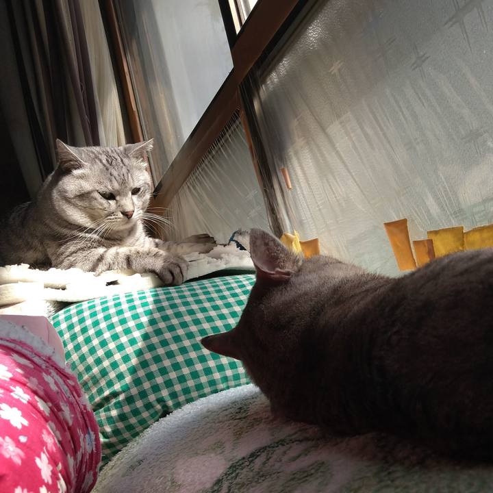 891cbc67 7924 4aa9 8aca fa0d87e1ca1f 1602145099283