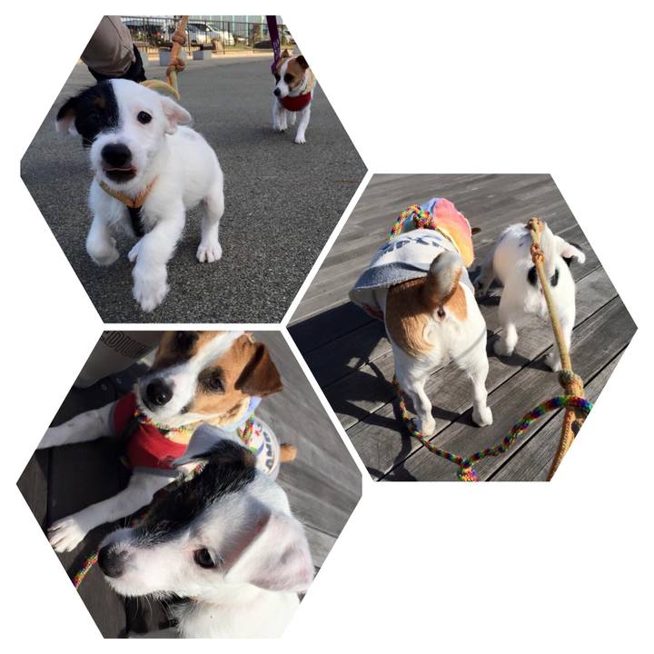 891cbf08 74b3 45fa a56b 248ca3ca0313 1519771543088