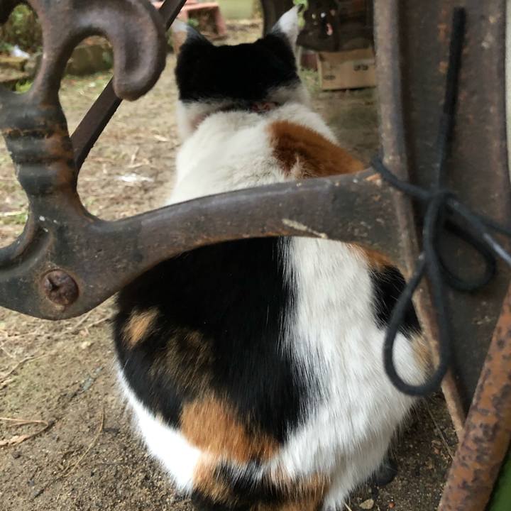 891d1893 8559 4581 b4b1 387962047662 1610490120927