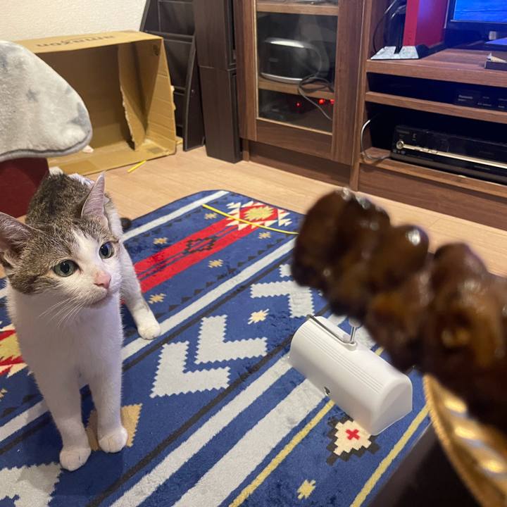 891d2c41 0aa6 41b0 a07a 37848d7e1c71 1626530222363