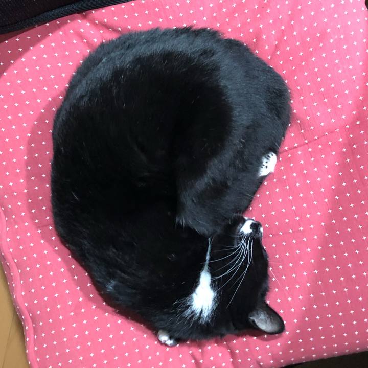 891d4a19 09ec 490c 998f ebbf66a0e958 1611891721590