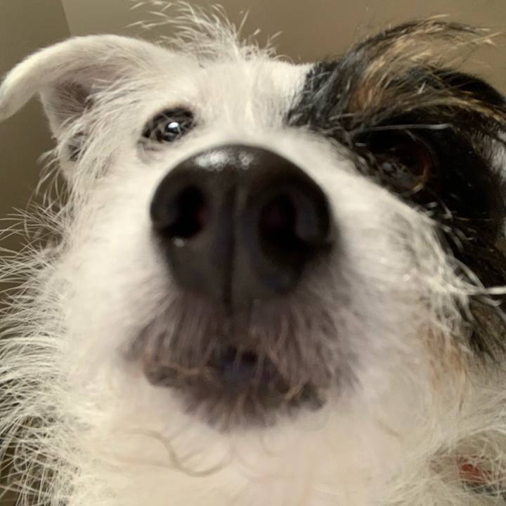 891d554c 33ad 4a56 a065 aa2d890d36dc 1611054556107