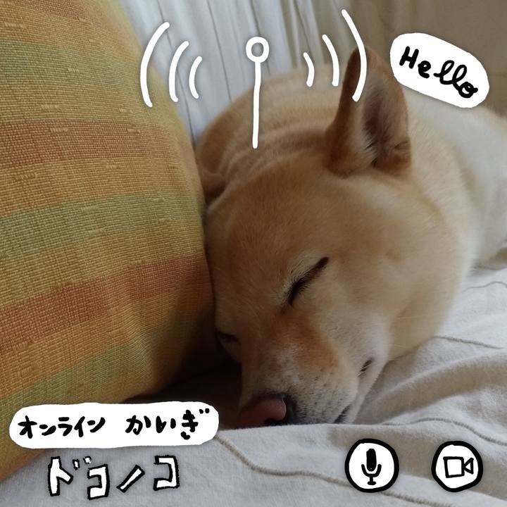 891d6104 8b9f 44bc b7dc 509360b00aed 1591596072252