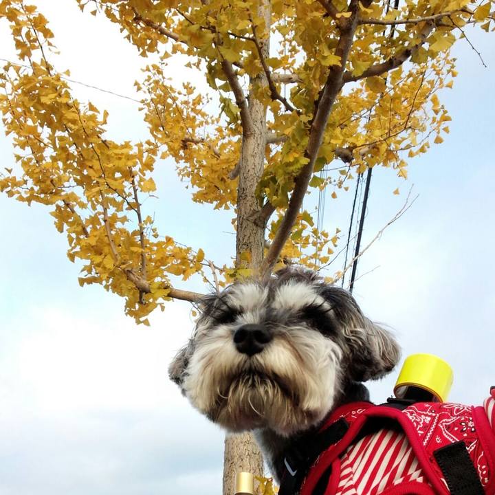 891d6c79 cbf1 4bcb 94f1 94543db4605b 1510872845453