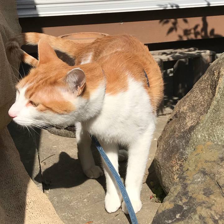 891d6c9e f2a4 4e42 acc0 0a9667626747 1519190094569