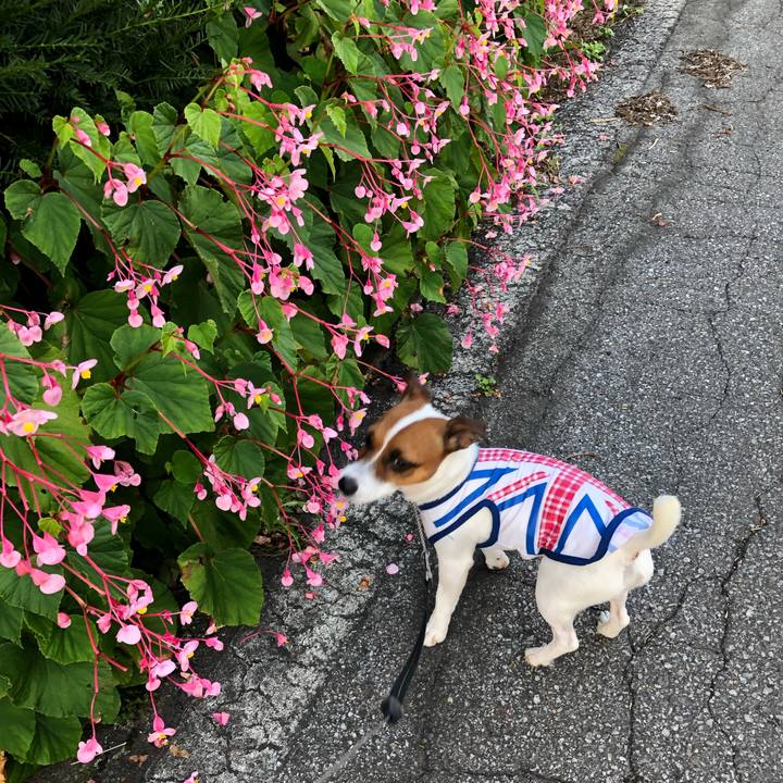 891d7ca1 b321 4a16 92e5 66df5ea4d7ad 1568370344768