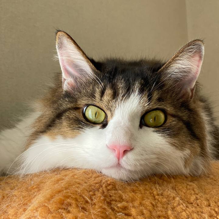 891d82f1 da8e 4998 aa18 dd1395b4ac57 1576747368110