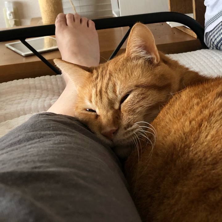 891da323 6aab 4cf5 8d70 8735d209edc7 1624151252577