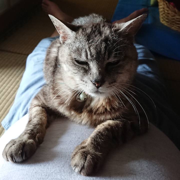 891db677 c855 4b5d 962b 2c61b5a25b24 1564646523819