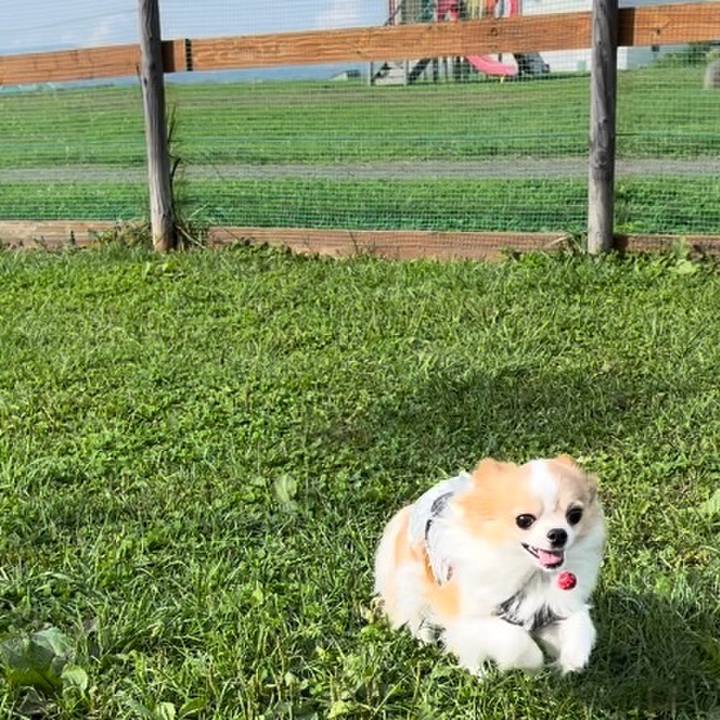 891dd7c1 2498 41d2 82e1 63d72e030838 1759651103214