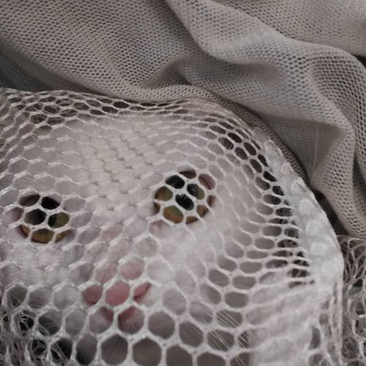 891e03cb 6968 478c bb8f 5594b6a51f1d 1633058601912