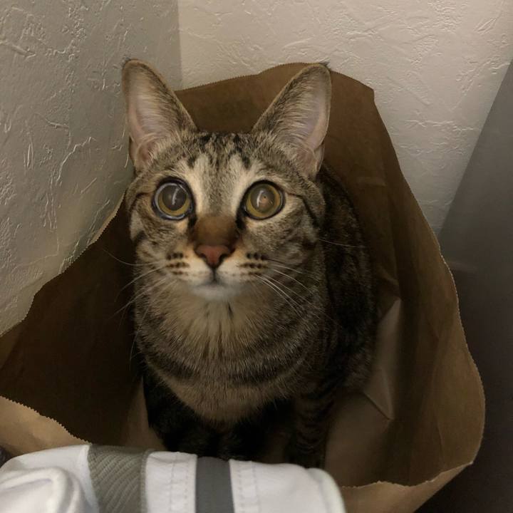 891e15ee 2858 40da bf14 792537f6d045 1522976450807