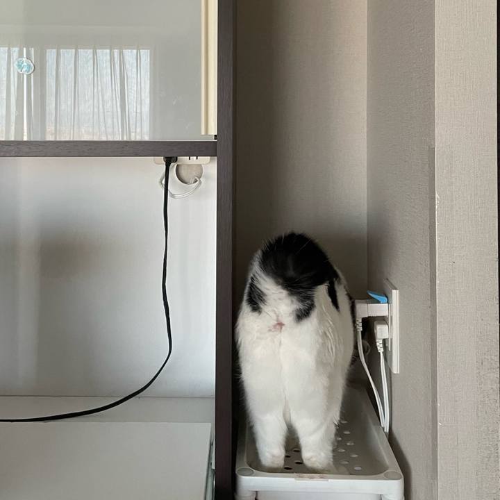 891e18fb b45a 4c76 8a95 a14d01811e9b 1643761956165