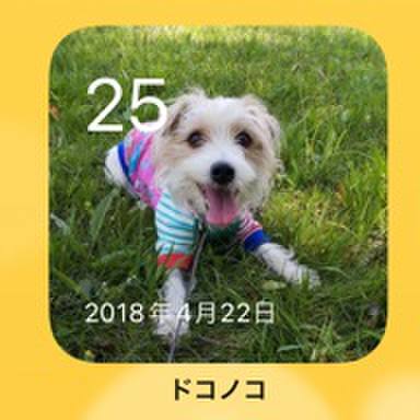 891e5d2d 8169 4716 8ec0 e9ad0115fdf4 1650831008946