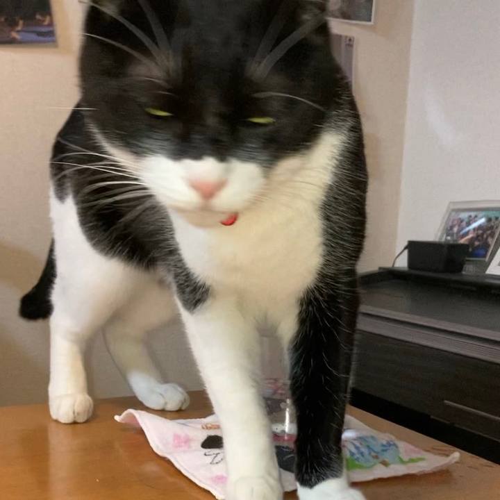 891e6c85 e66c 4420 a0d1 7bf0b805b656 1640154178221