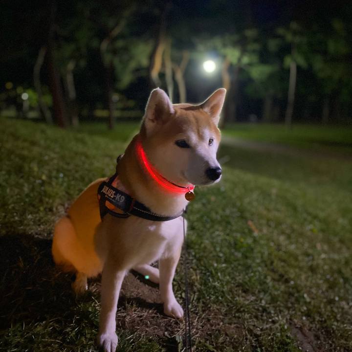 891e9b2e c247 4ba3 a321 cd0017b2a33b 1635152730514