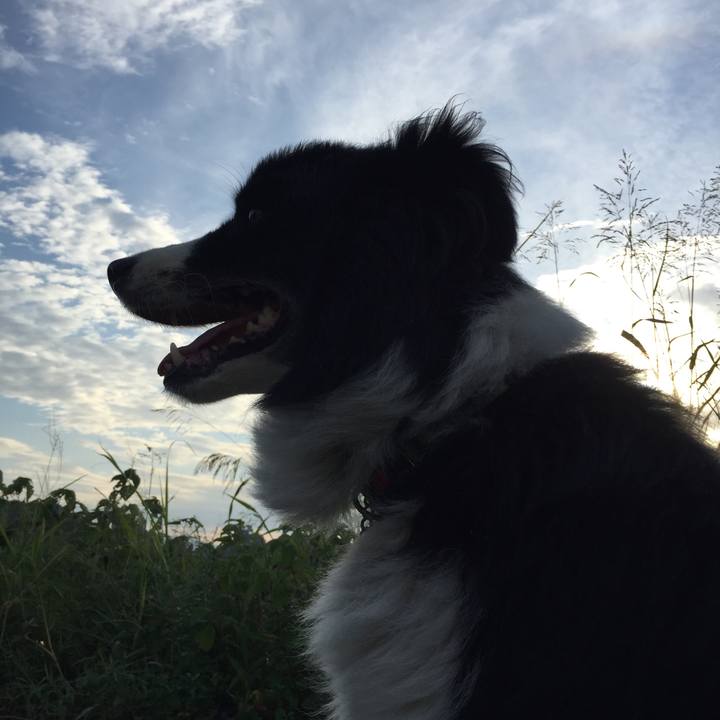 891e9f7c 13ab 45e6 8c4d f902e781e3ba 1569541984521